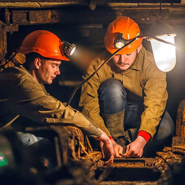 Two Miners Mine Web